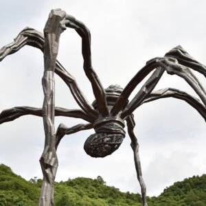 Ticket001 Ticket only for Students